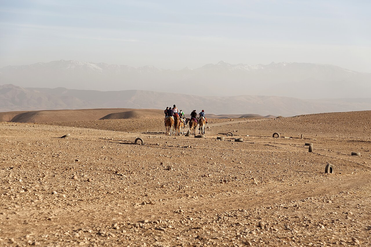 Agafay Desert and the Marrakech Palmeraie by SUV
